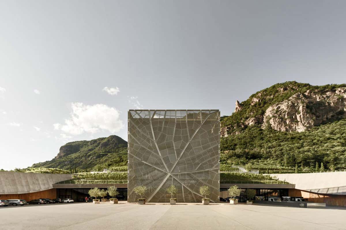 Cantina Bolzano: dopo il successo dei TAL, è sempre più alta la qualità dei vini 